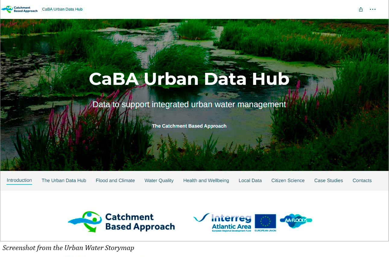 Delivering sustainable urban water management through local action - AA ...